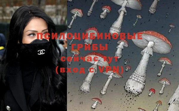 прущая мука Сосновка
