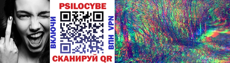 Галлюциногенные грибы Cubensis  Иннополис 